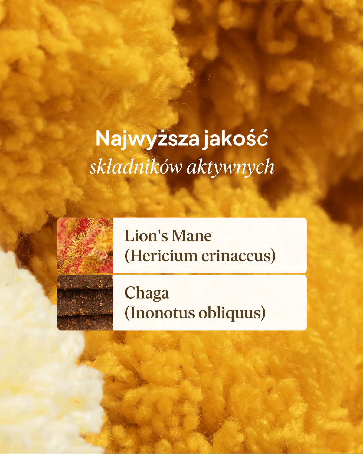 Zdjęcie produktu 8